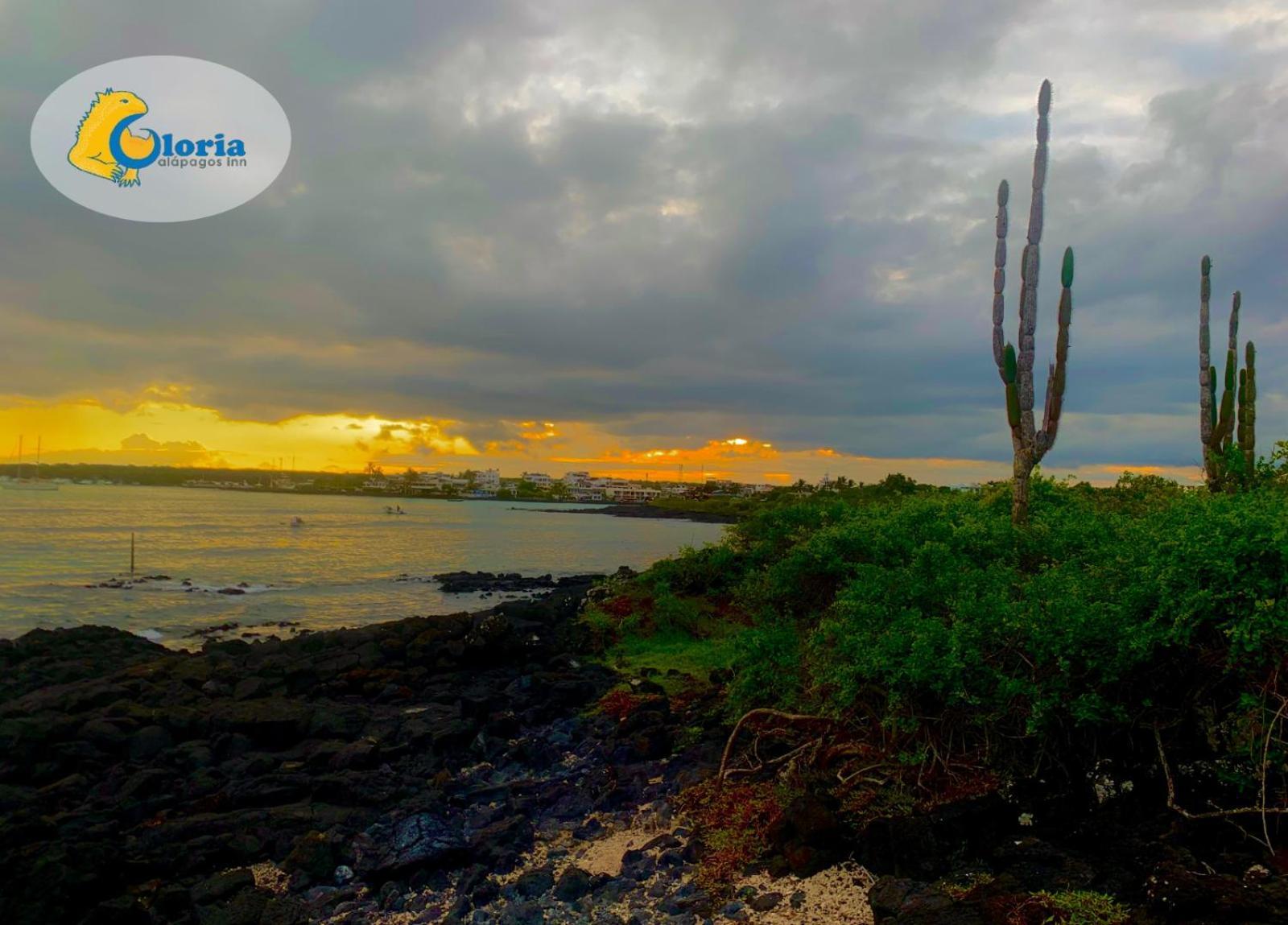 Gloria - Galapagos Inn Puerto Ayora  Εξωτερικό φωτογραφία